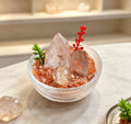 red shadow water crystal potted plant