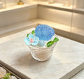 All-natural aquamarine flower pot, a beautifully giftable office plant